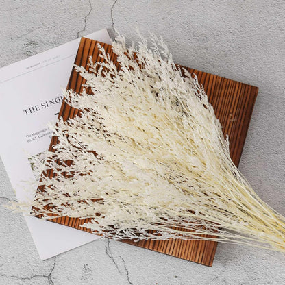 Dried Flowers Bouquet, Dry Caspia Flower Bundle, Floral Lavender, Babys Breath Flowers Arrangements for Wedding Decor, Door Wreath, Home Party Table Vase Decoration (Yellow, 17'')