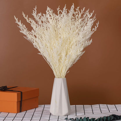 Dried Flowers Bouquet, Dry Caspia Flower Bundle, Floral Lavender, Babys Breath Flowers Arrangements for Wedding Decor, Door Wreath, Home Party Table Vase Decoration (Yellow, 17'')