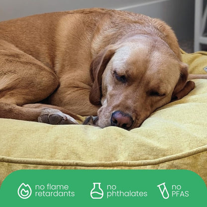 Elysium Dog Bed Duvet Cover, GOTS-Certified 100% Cotton Canvas Cover for Dog, Puppy, or Cat Bed, Durable, Washable, and Free of Harmful Chemicals, Medium/Large, 27"x36"x5", Yellow