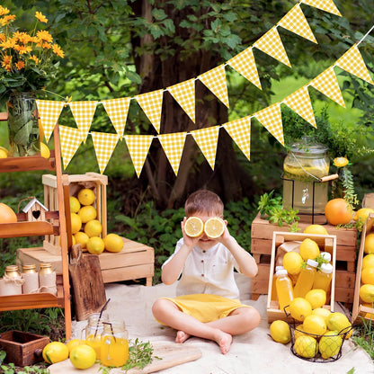 Yellow Gingham Banner for Picnic, BBQ Party Decorations | Yellow and White Checkered Garland Bunting Flags, Lemon Decorations, Yellow Party Decorations for Birthday, Baby Shower