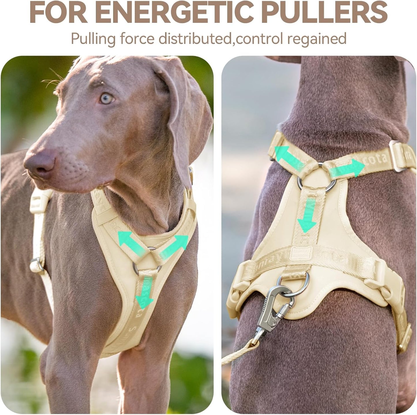 Dog Harness, Soft Lycra Puppy Vest for Small Sized Dogs | Light Yellow S, Breathable Flexible Padded Pet Harness, Back D-ring, Quick-release Buckles,No Choke Adjustable Easy Control