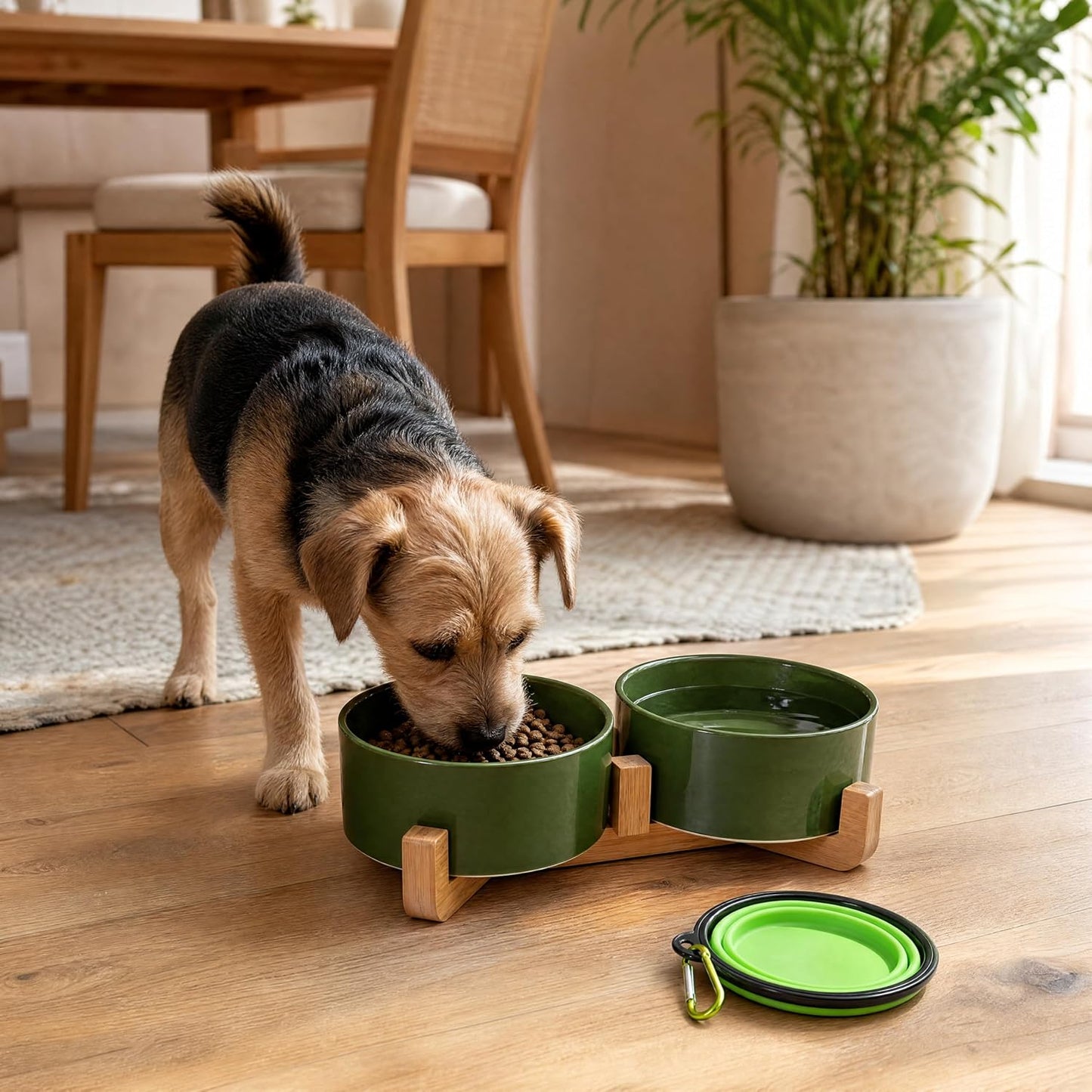 Petygooing Dog Bowls,Ceramic Cat Dog Bowl Set with Wood Stand for Food and Water,Non-Slip Cute Modern Pet Dish for Cats and Small Size Dogs (13.5OZ/5.1 in) Rust Green
