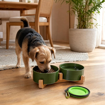 Petygooing Dog Bowls,Ceramic Cat Dog Bowl Set with Wood Stand for Food and Water,Non-Slip Cute Modern Pet Dish for Cats and Small Size Dogs (13.5OZ/5.1 in) Rust Green