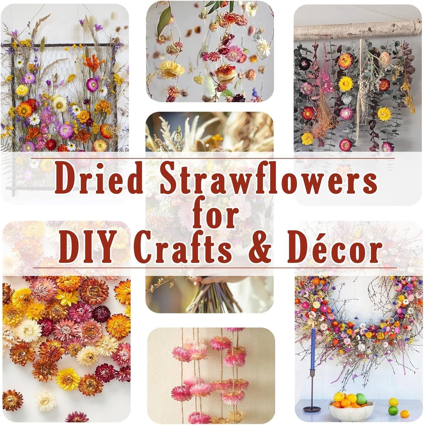30Pcs Dried Strawflowers Bouquet, 14 - 17" Real Dried Daisy Flowers with Long Stems for Wedding, Farmhouse, Table & Home Decor, Yellow & Orange Fall Floral for Vase or DIY Arrangement