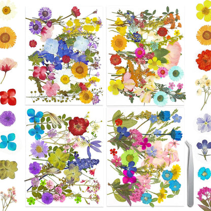 140+ PCS Real Dried Pressed Flowers Leaves Petals for Crafts Yellow- Beautiful Pressed Flowers Daisies for Resin Jewellery, Pressed Flowers Nail Pendant Crafts Making Craft DIY Accessories
