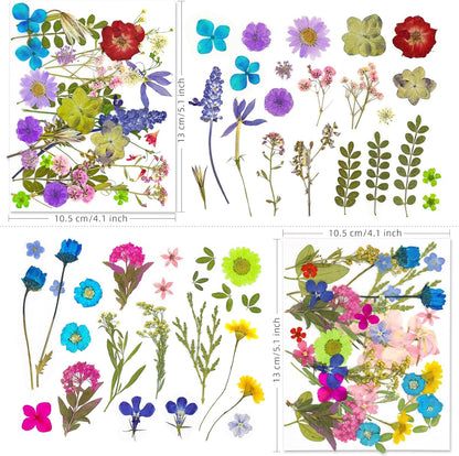 140+ PCS Real Dried Pressed Flowers Leaves Petals for Crafts Yellow- Beautiful Pressed Flowers Daisies for Resin Jewellery, Pressed Flowers Nail Pendant Crafts Making Craft DIY Accessories