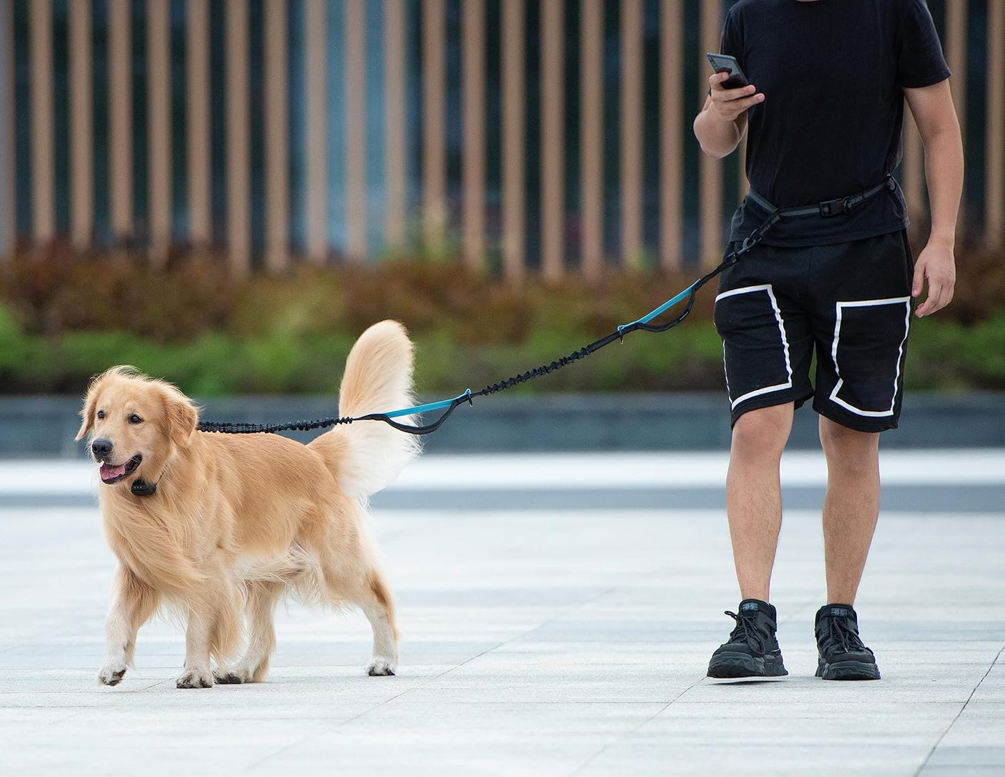 Hands Free Dog Leash with Zipper Pouch, Large, 25-120 lbs, Yellow | Waist Leash, Dual Padded Handles, Shock-Absorbing Bungee, Adjustable Waist Belt, Walking and Running