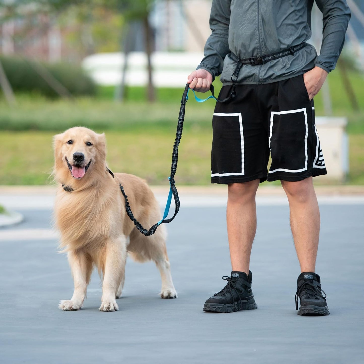 Hands Free Dog Leash with Zipper Pouch, Large, 25-120 lbs, Yellow | Waist Leash, Dual Padded Handles, Shock-Absorbing Bungee, Adjustable Waist Belt, Walking and Running
