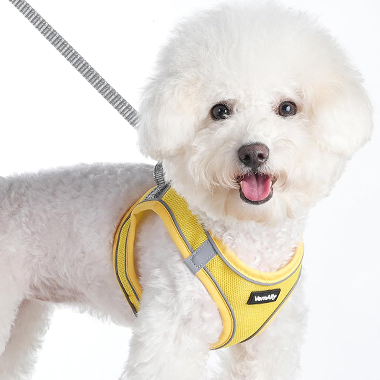 Sparkly Dog Harness Small Sized and Leash Set for Small Dogs Cats,Yellow XS Puppy Harness, Step in Soft Dog Reflective Vest, Breathable Mesh Pet Harness. (Yellow, XS)