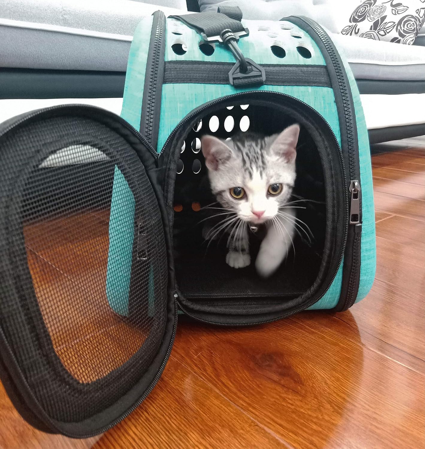 PetLike Airline Approved Pet Carrier Soft Sided Collapsible Travel Bag for Cats & Small Dogs (Beige, Smooth)