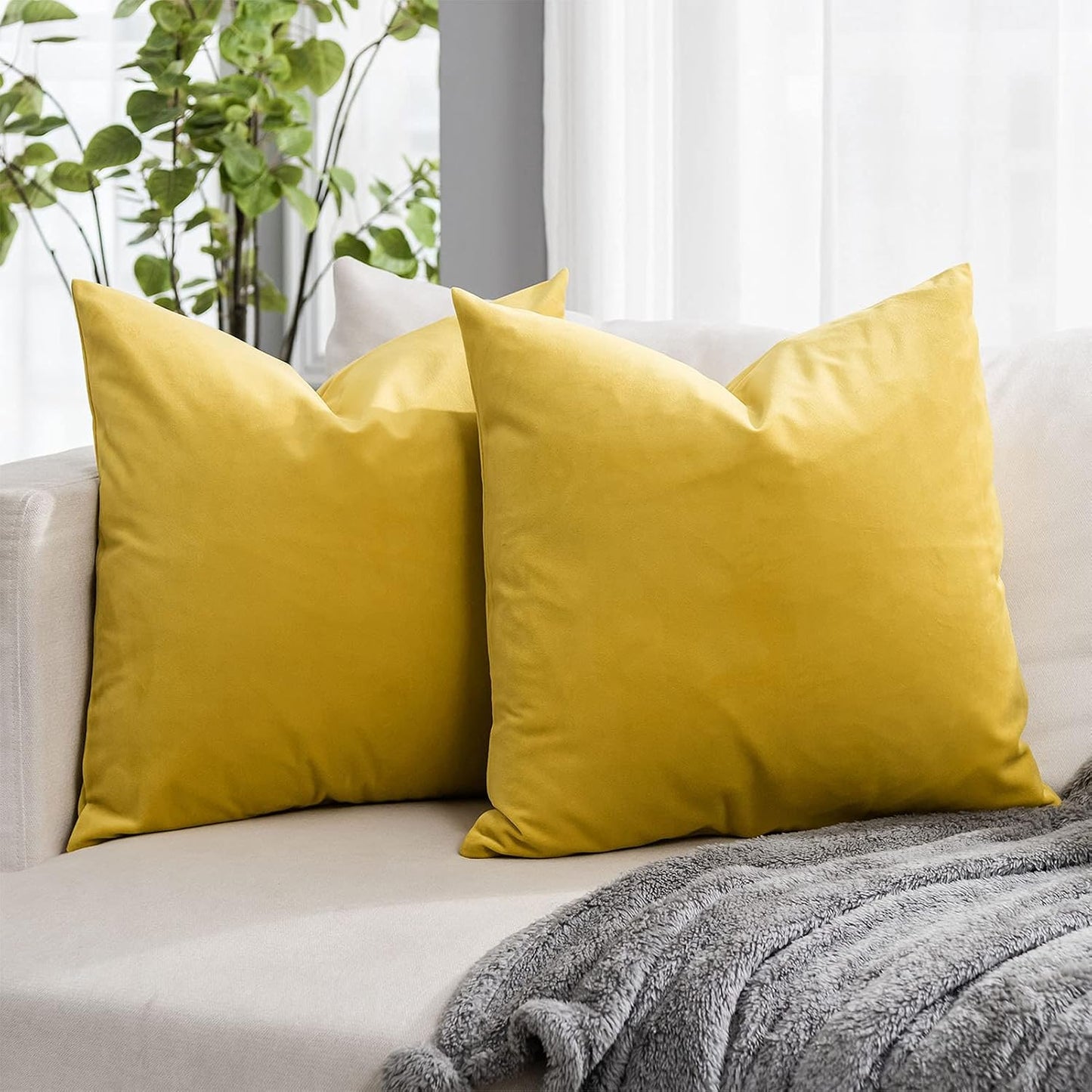 Lemon Couch Velvet Throw Pillow Covers 18x18 inch Set of 2 with Zipper Decorative Luxury Soft Solid Square Cushion Covers Case for Sofa Bed Living Room Car