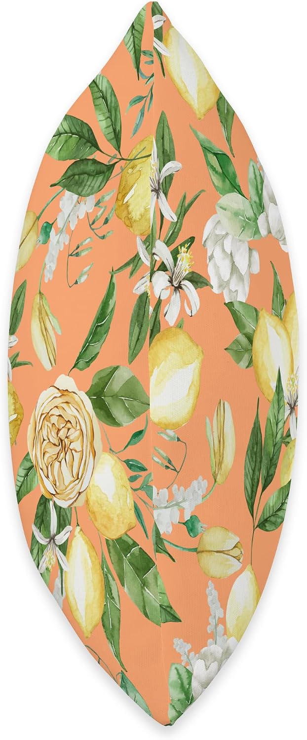 Summer by Vine Mercantile Melon-Amalfi Lemon Blossom Watercolor Citrus Pattern Throw Pillow, 18x18, Multicolor