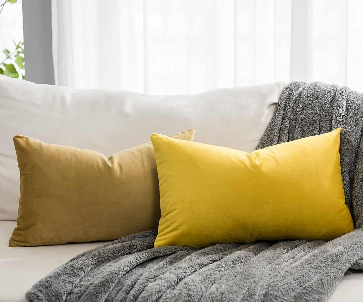 Lemon Decorative Lumbar Velvet Throw Pillow Covers 16x24 inch Set of 2 with Zipper Luxury Soft Solid Rectangle Cushion Covers Case for Sofa Couch Bed Living Room