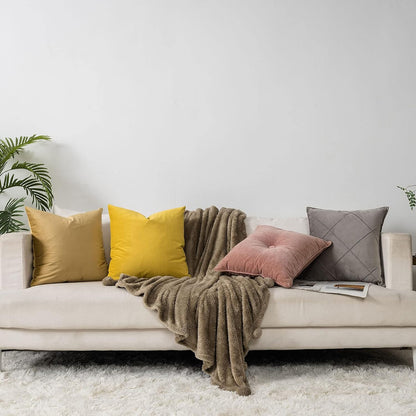 Lemon Couch Velvet Throw Pillow Covers 18x18 inch Set of 2 with Zipper Decorative Luxury Soft Solid Square Cushion Covers Case for Sofa Bed Living Room Car