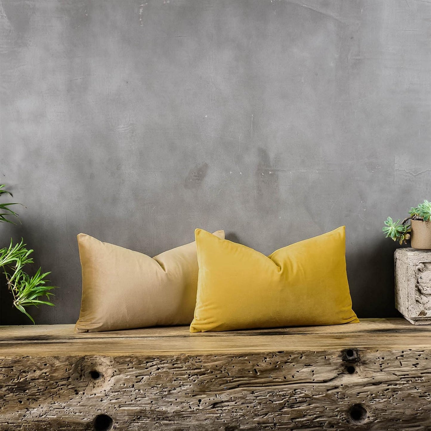 Lemon Decorative Lumbar Velvet Throw Pillow Covers 16x24 inch Set of 2 with Zipper Luxury Soft Solid Rectangle Cushion Covers Case for Sofa Couch Bed Living Room