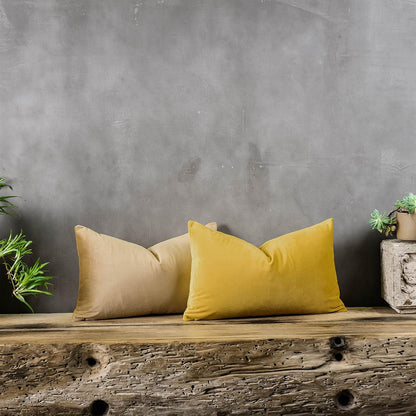 Lemon Decorative Lumbar Velvet Throw Pillow Covers 16x24 inch Set of 2 with Zipper Luxury Soft Solid Rectangle Cushion Covers Case for Sofa Couch Bed Living Room