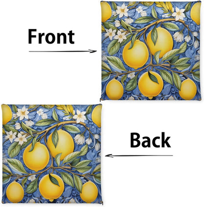 Chair Cushions Lemons Chair Pads for Dining Chairs Removable Seat Cushion for Kitchen Living Room Office Patio 16 x 16 x 1.2 Inches