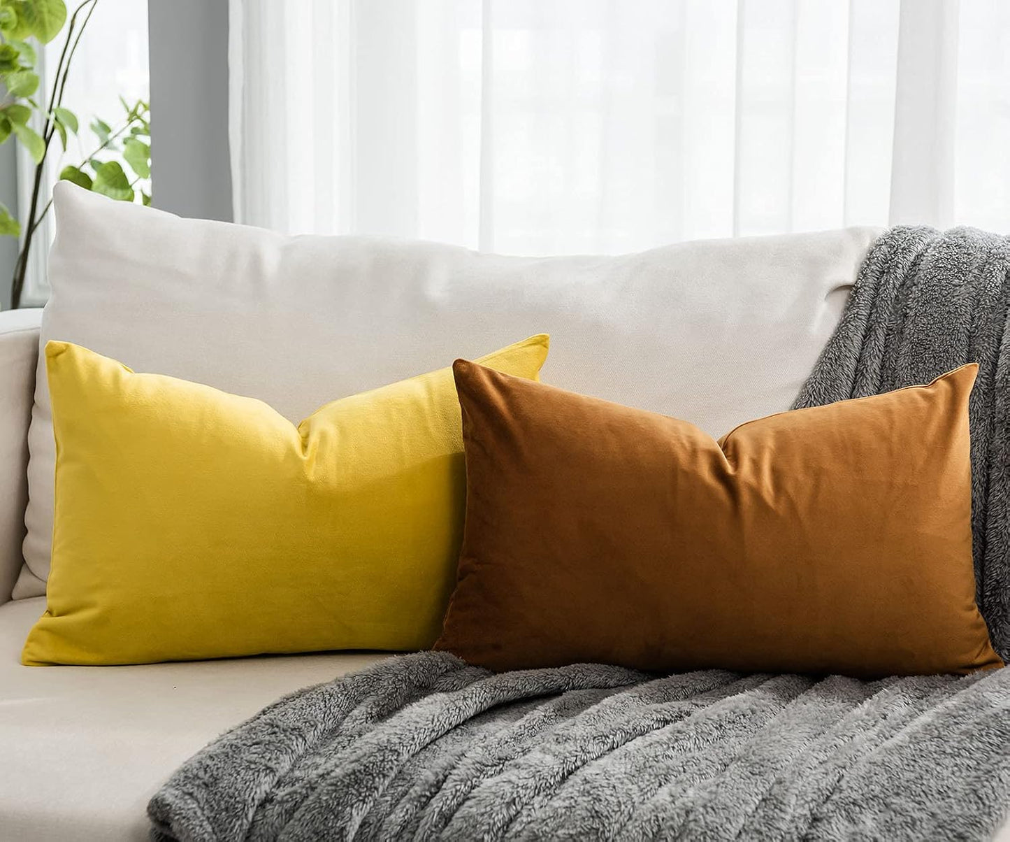 Lemon Decorative Lumbar Velvet Throw Pillow Covers 16x24 inch Set of 2 with Zipper Luxury Soft Solid Rectangle Cushion Covers Case for Sofa Couch Bed Living Room