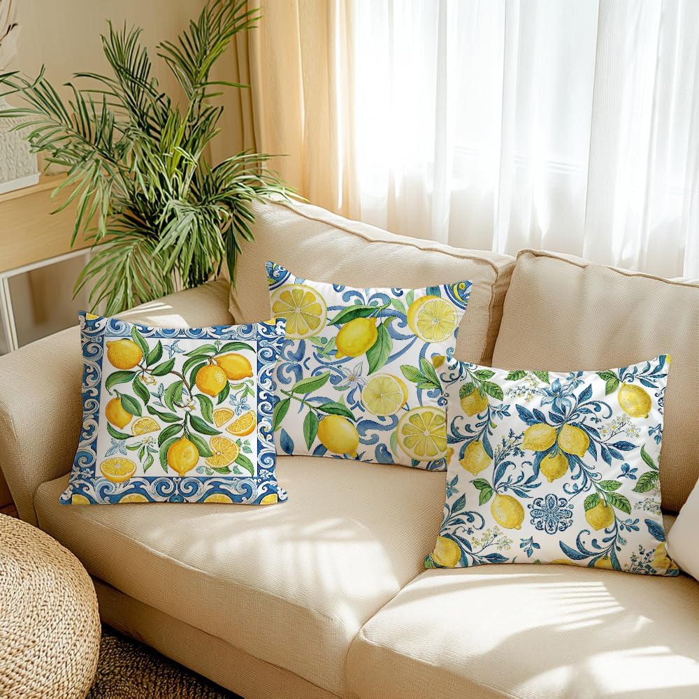 Pack of 4, Decorative Lemon Print Throw Pillow Cover, 18x18 inch, 100% Polyester, Hidden Zipper, Mediterranean Blue Border