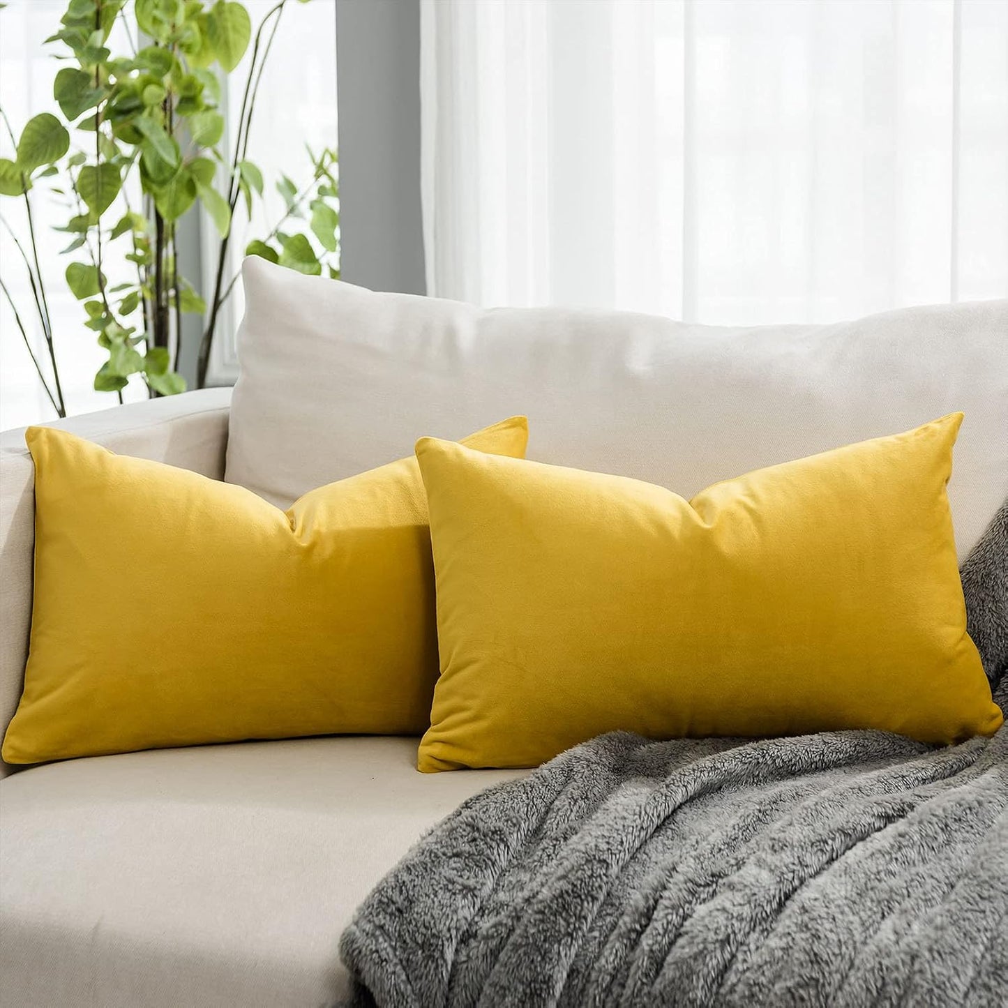 Lemon Decorative Lumbar Velvet Throw Pillow Covers 16x24 inch Set of 2 with Zipper Luxury Soft Solid Rectangle Cushion Covers Case for Sofa Couch Bed Living Room