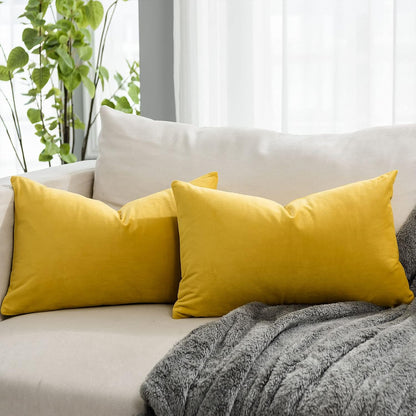 Lemon Decorative Lumbar Velvet Throw Pillow Covers 16x24 inch Set of 2 with Zipper Luxury Soft Solid Rectangle Cushion Covers Case for Sofa Couch Bed Living Room