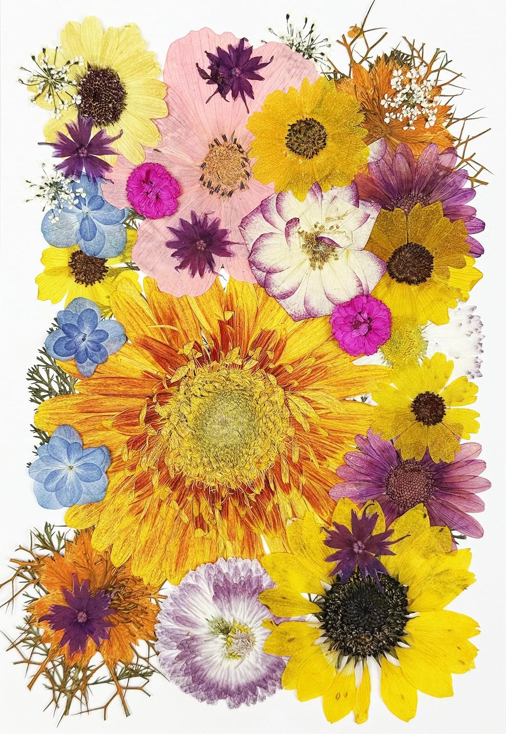 35 pcs Real Pressed Dried Flowers Mixed Mini Rose,Yellow Sunflowers for Greeting Cards Resin Craft DIY Art Floral Decors