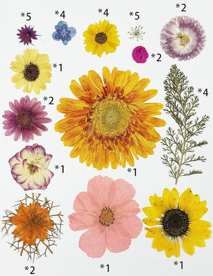 35 pcs Real Pressed Dried Flowers Mixed Mini Rose,Yellow Sunflowers for Greeting Cards Resin Craft DIY Art Floral Decors