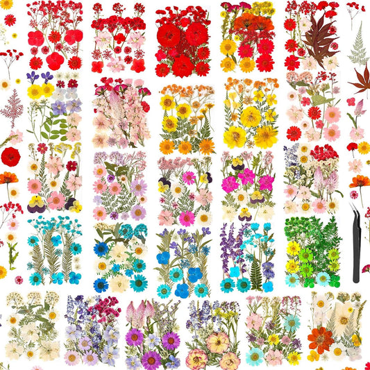 470 PCS Pressed Flowers for Crafts, Real Natural Dry Flowers with Tweezers Dried Pressed Flowers Dry Leaves Bulk for Resin, Scrapbook, Jewelry, Card, Candle & Soap Making