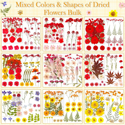 470 PCS Pressed Flowers for Crafts, Real Natural Dry Flowers with Tweezers Dried Pressed Flowers Dry Leaves Bulk for Resin, Scrapbook, Jewelry, Card, Candle & Soap Making