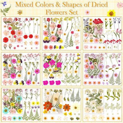 470 PCS Pressed Flowers for Crafts, Real Natural Dry Flowers with Tweezers Dried Pressed Flowers Dry Leaves Bulk for Resin, Scrapbook, Jewelry, Card, Candle & Soap Making