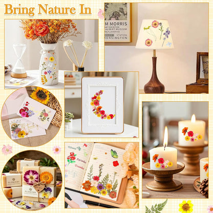 470 PCS Pressed Flowers for Crafts, Real Natural Dry Flowers with Tweezers Dried Pressed Flowers Dry Leaves Bulk for Resin, Scrapbook, Jewelry, Card, Candle & Soap Making