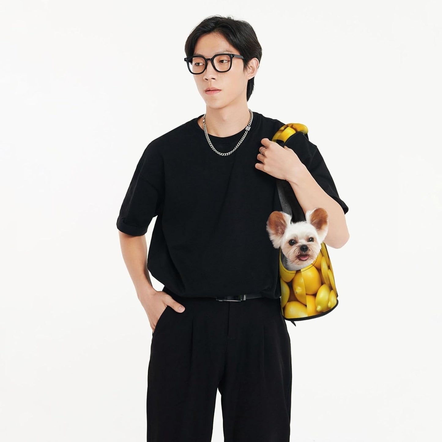 Ripe Yellow Lemon Print Foldable Pet Tote Bag, Shoulder Carrier for Small Dogs and Cats