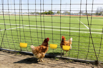 3pcs Cage Cups 25oz Feeder and Waterer Chicken Food Bowl, Hanging Rabbit Drinker Cup Yellow Bird Water Container with Hooks,Pet Feeding Dish for Small Animals