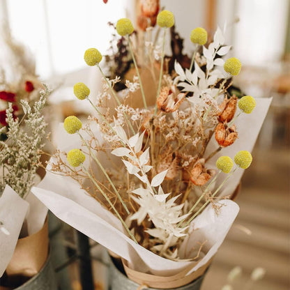 30 Pcs Natural Dried Flowers Craspedia Billy Balls Flowers Yellow Dried Craspedia Flowers Billy Buttons Floral Bouquet for Flower Arrangements Wedding Home Tall Vase Decor Fall Autumn