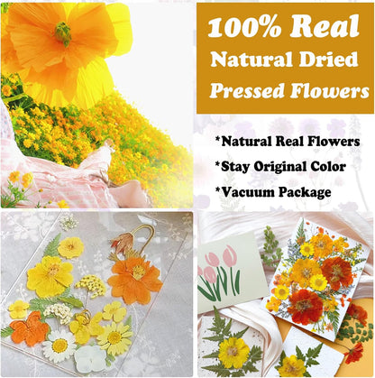35Pcs Yellow Pressed Dried Flowers for Resin Molds, Real Natural Bulk Orange Dry Floral Leave for DIY Art Crafts, Epoxy Jewelry, Candle, Soap Making, Nails Decors