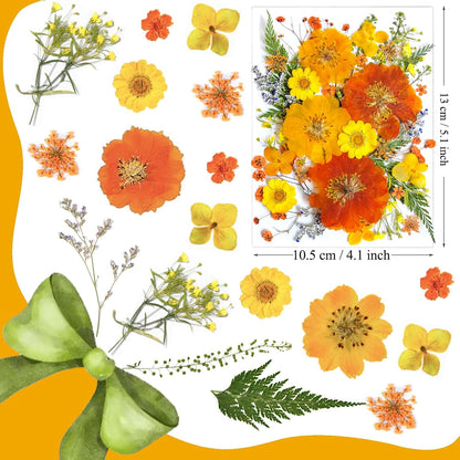 35Pcs Yellow Pressed Dried Flowers for Resin Molds, Real Natural Bulk Orange Dry Floral Leave for DIY Art Crafts, Epoxy Jewelry, Candle, Soap Making, Nails Decors
