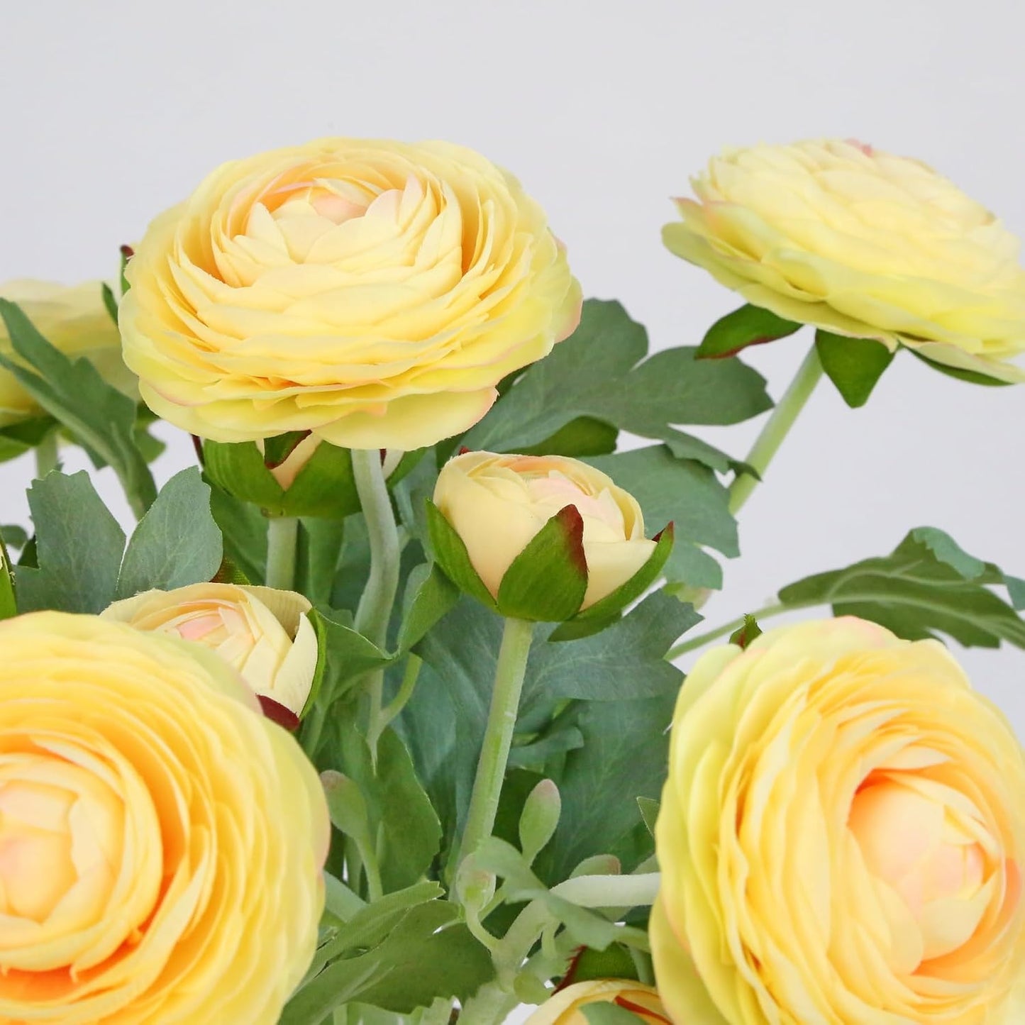 Yellow Ranunculus Artificial Flowerswith Real Touch Stem, Fake Ranunculus Flowers (Creamy Yellow, 6pcs)
