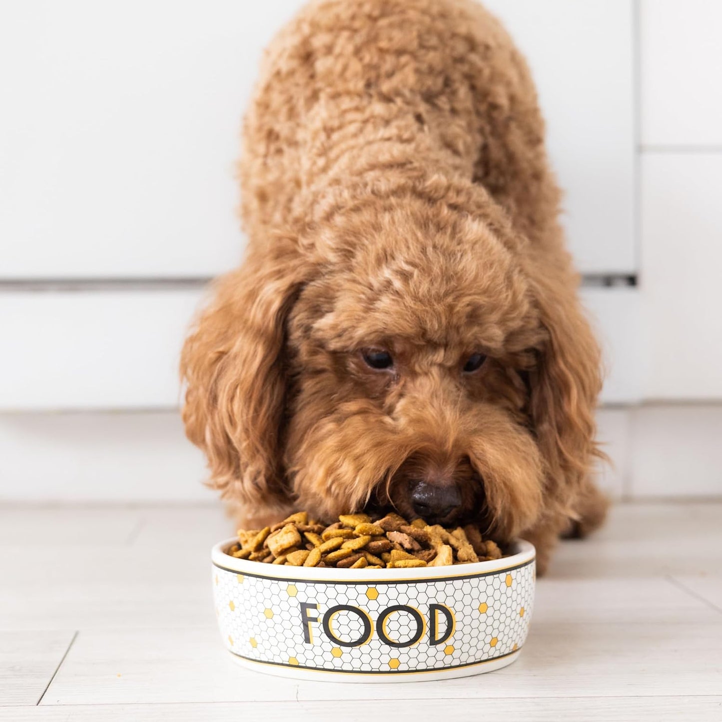 Ceramic Dog Bowl, Small/Medium 2.25 Cups/ 18 oz, Bistro Tile | Honeycomb with Gold Accents Stoneware Pet Food & Water Bowl for Small Dogs, Weighted Non-Plastic Feeding Dish