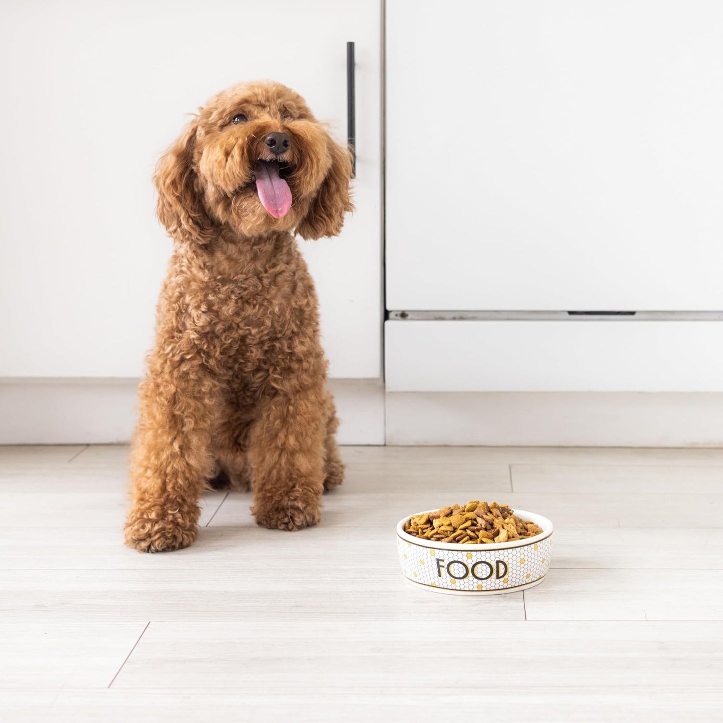 Ceramic Dog Bowl, Small/Medium 2.25 Cups/ 18 oz, Bistro Tile | Honeycomb with Gold Accents Stoneware Pet Food & Water Bowl for Small Dogs, Weighted Non-Plastic Feeding Dish