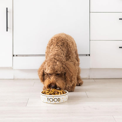 Ceramic Dog Bowl, Small/Medium 2.25 Cups/ 18 oz, Bistro Tile | Honeycomb with Gold Accents Stoneware Pet Food & Water Bowl for Small Dogs, Weighted Non-Plastic Feeding Dish