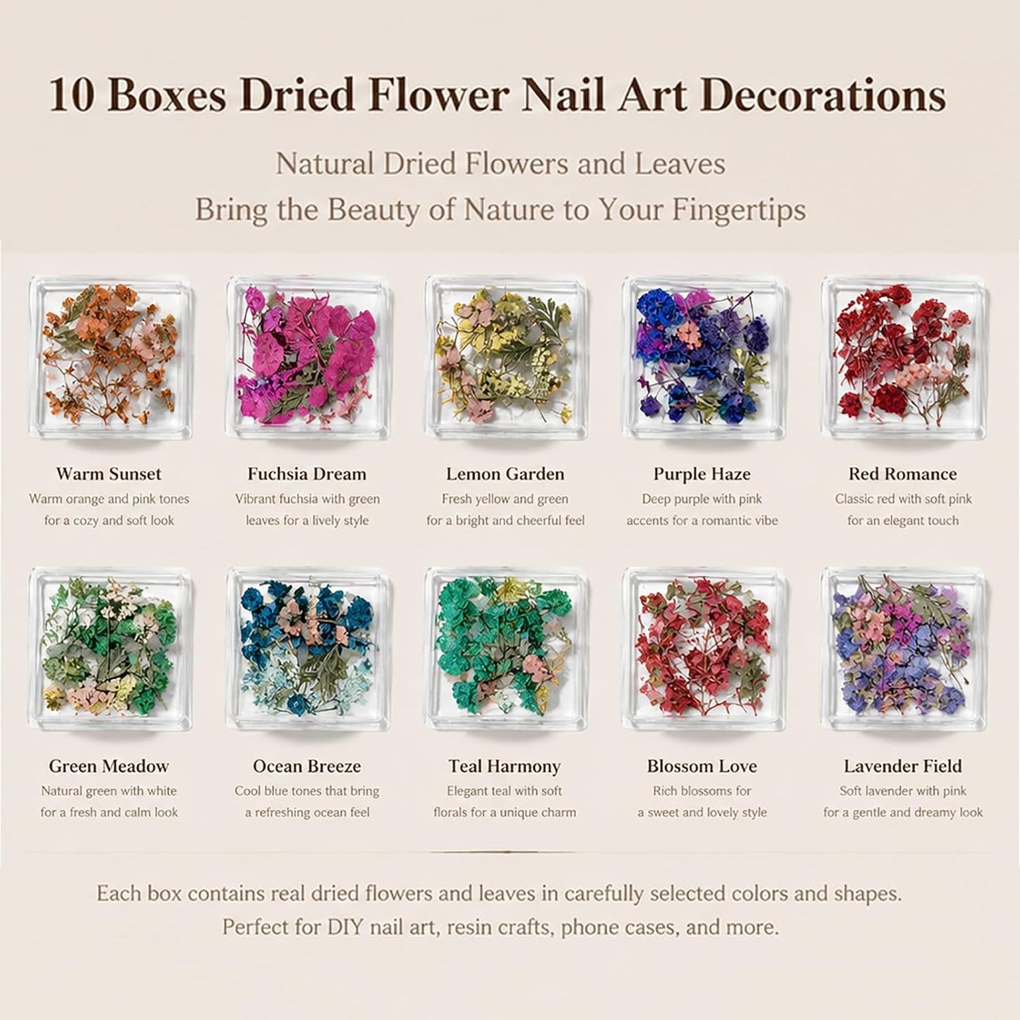 10 Boxes Dried Nail Flowers, Natural Pressed Flowers for Nail Art Tiny Dried Flowers for Resin Crafts Mini Dry Flower Manicure Decorations for Spring & Floral Nails Art Designs