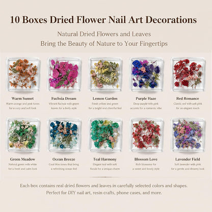10 Boxes Dried Nail Flowers, Natural Pressed Flowers for Nail Art Tiny Dried Flowers for Resin Crafts Mini Dry Flower Manicure Decorations for Spring & Floral Nails Art Designs