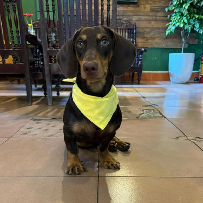 Premium Solid Yellow Dog Bandana, Luxury Soft Cotton Adjustable Triangle Scarf for Medium Dogs, Comfortable, Stylish, and Customizable for All Seasons, Dog Accessories