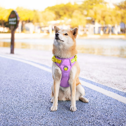 No Pull Dog Harness, Unique Colors Reflective Adjustable Dog Vest, with Soft Training Handle Metal Clips for Small Medium Large Dogs (Baby Purple Base & Yellow Straps,M)