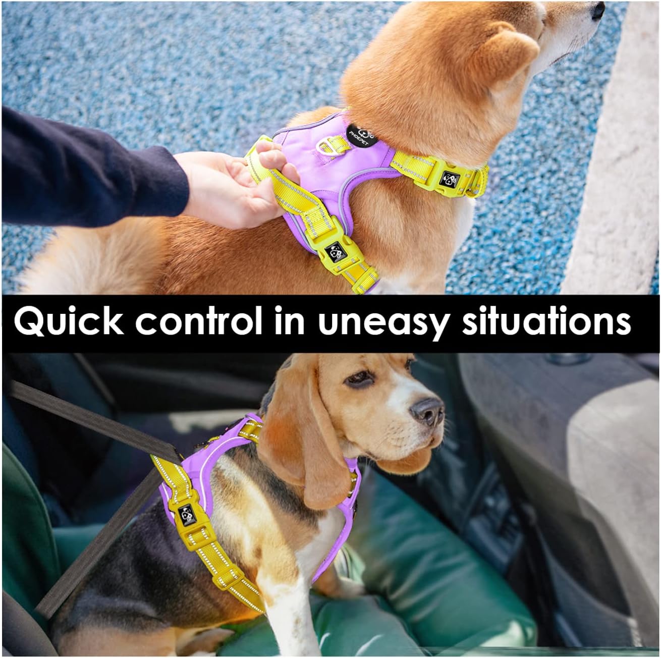 No Pull Dog Harness, Unique Colors Reflective Adjustable Dog Vest, with Soft Training Handle Metal Clips for Small Medium Large Dogs (Baby Purple Base & Yellow Straps,M)