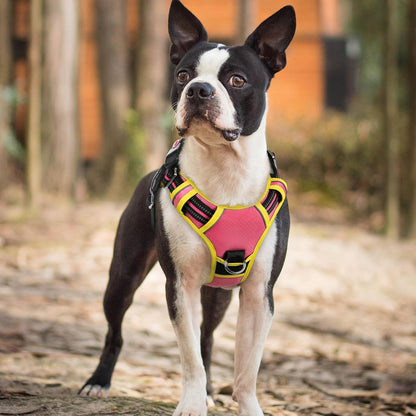 Dog Harness Small Sized, No Pull 3 Buckles Easy On & Off | Soft Padded, Walking with Control Handle, Adjustable and Reflective, Pink & Yellow, Small