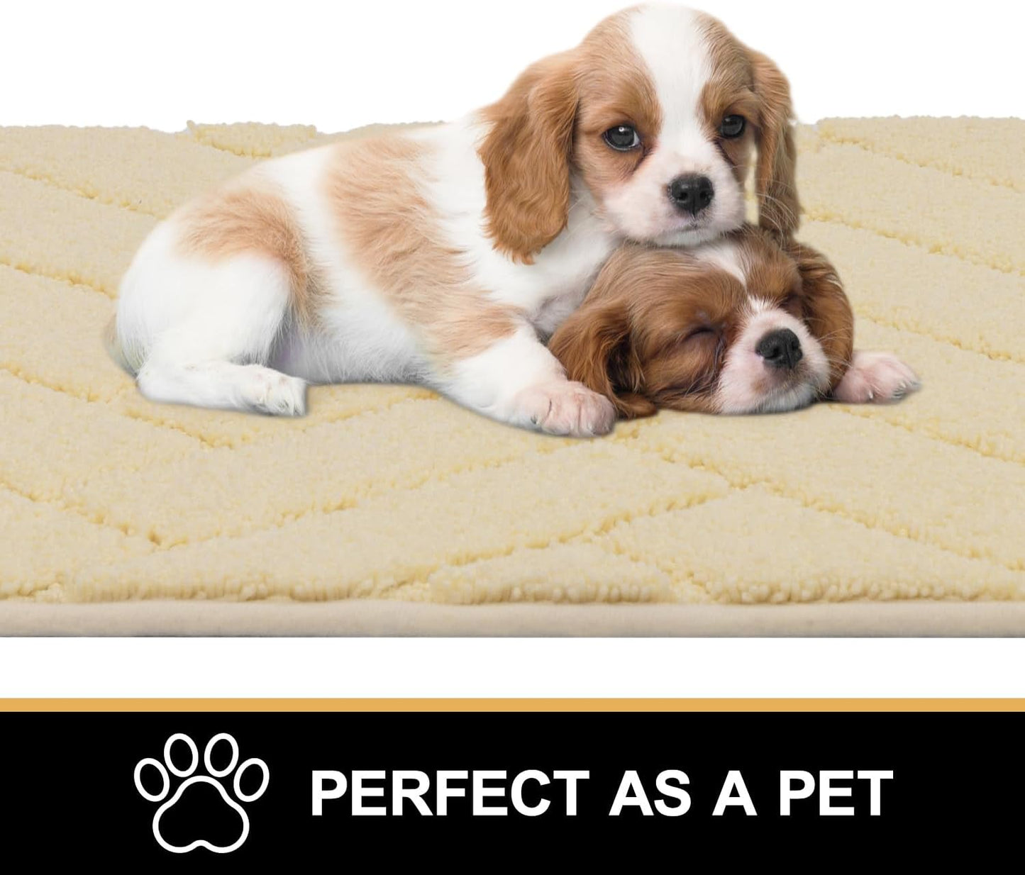 Indoor Doormat,Front Back Door Mat Rubber Backing Non Slip Door Mats 20"x32" Absorbent Resist Dirt Entrance Doormat Inside Floor Mats for Entryway Washable Low-Profile(Cream Yellow)