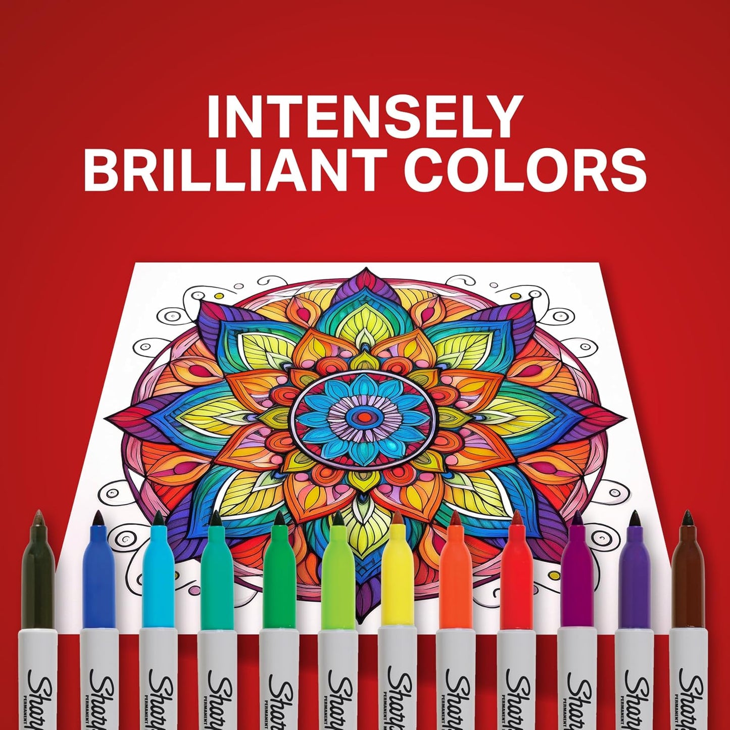 Permanent Markers, Fine Tip, 12 Count - Quick Drying, Fade Resistant, Arts & Crafts, Desk, Office Supplies