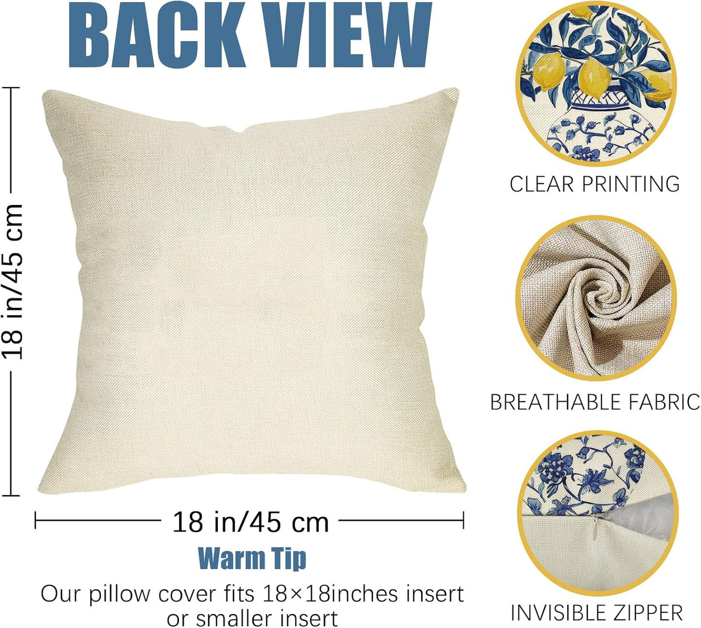 Fahrendom Lemon Decorative Throw Pillow Covers 18 x 18 Set of 2, Blue and White Porcelain Citrus Porch Pillowcase, Summer Mediterranean Sofa Couch Cushion Case Home Decor