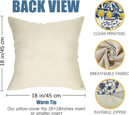 Fahrendom Lemon Decorative Throw Pillow Covers 18 x 18 Set of 2, Blue and White Porcelain Citrus Porch Pillowcase, Summer Mediterranean Sofa Couch Cushion Case Home Decor